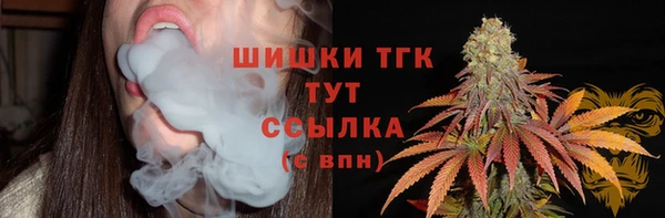 эйфоретик Баксан