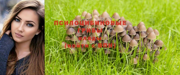 соль курить ск Балабаново