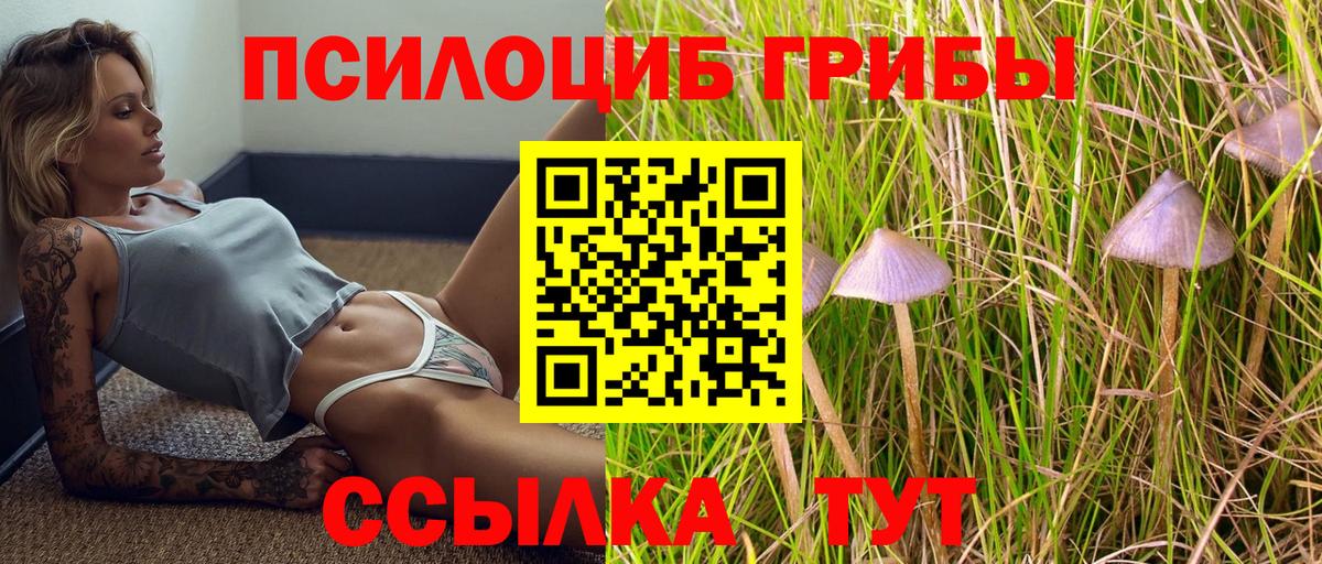 Корсаков  Псилоцибиновые грибы ЛСД  Вход с VPN 